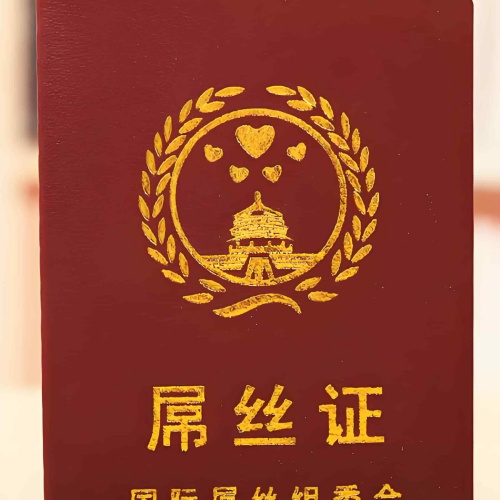 搞笑证书-屌丝